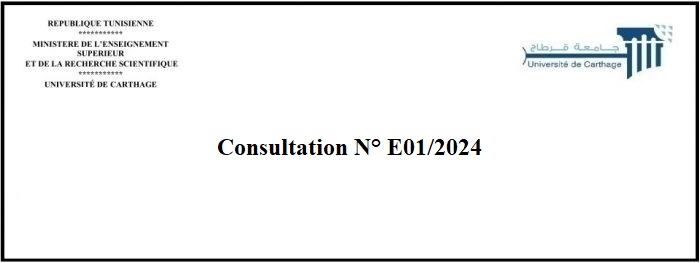 consultation N° E01/2024
